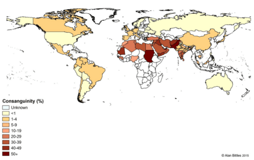 chalabi-datalab-cousins-1