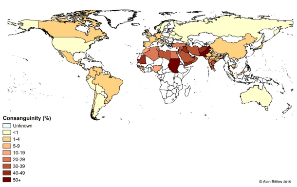 chalabi-datalab-cousins-1