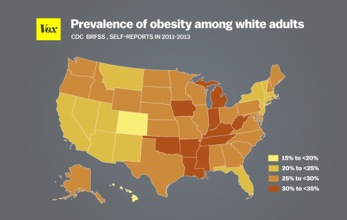 obesity_map_6_white_people.0