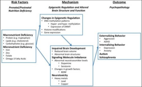 epigeneticfactor