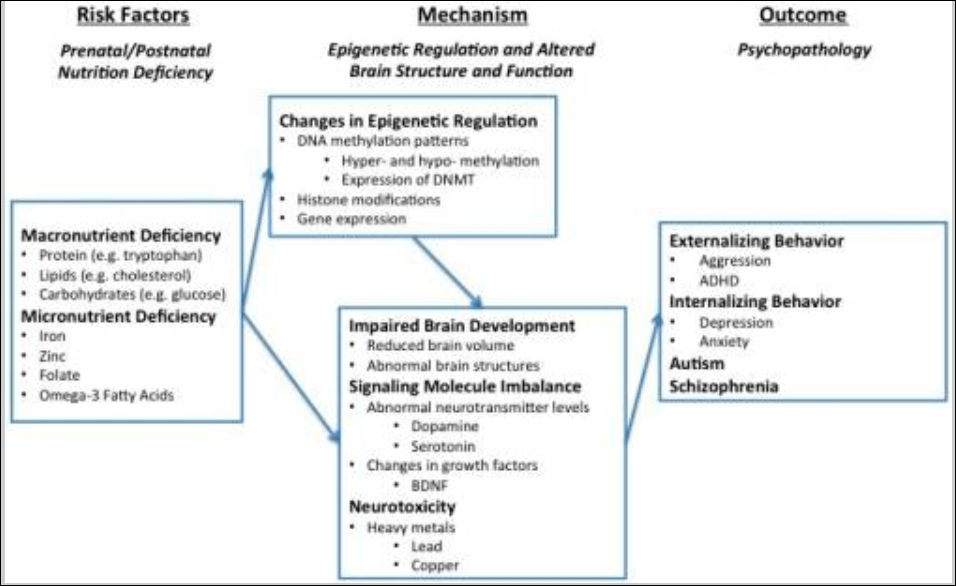 epigeneticfactor