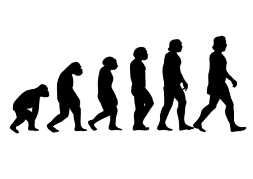 Human-evolution-silhouettes-01-700x495-1x3ej6l